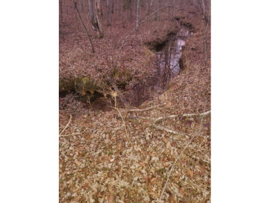 Lake Lot For Sale in Monterey, Tennessee