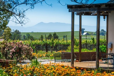 (private lake, pond, creek) Home For Sale in Napa California