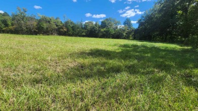 Lake Acreage For Sale in Story, Arkansas