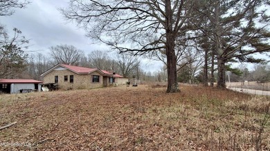 HUGE potential on this fixer-upper on 14+- acres with a shop! 3 - photo 3