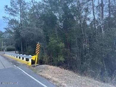 Rolling 22.19 Acers in Vancleave. Property like this in the - photo 2