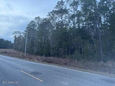 Rolling 22.19 Acers in Vancleave. Property like this in the - photo 7