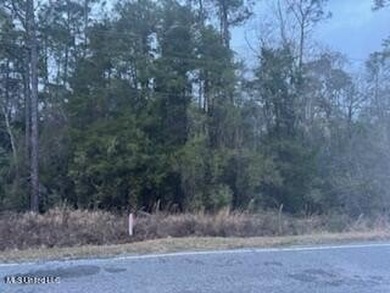 Rolling 22.19 Acers in Vancleave. Property like this in the - photo 8