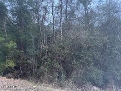 Rolling 22.19 Acers in Vancleave. Property like this in the - photo 9
