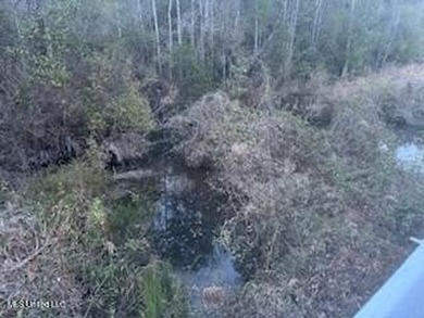 Rolling 22.19 Acers in Vancleave. Property like this in the - photo 10