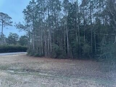 (private lake, pond, coastal) Acreage For Sale in Vancleave Mississippi