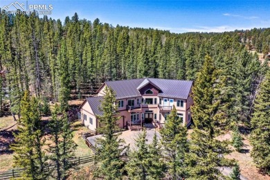 Lake Home For Sale in Divide, Colorado