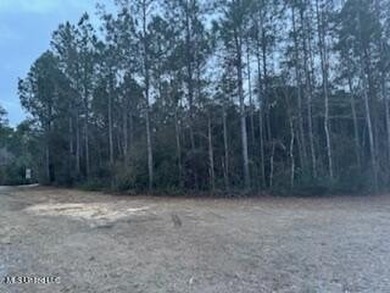 Bayou Waterfront 6.78 Acres in Vancleave . What a Find! There is - photo 2