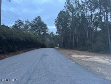 Bayou Waterfront 6.78 Acres in Vancleave . What a Find! There is - photo 3