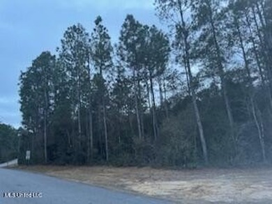 Bayou Waterfront 6.78 Acres in Vancleave . What a Find! There is - photo 4