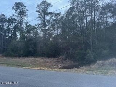 Bayou Waterfront 6.78 Acres in Vancleave . What a Find! There is - photo 5