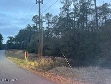 Bayou Waterfront 6.78 Acres in Vancleave . What a Find! There is - photo 6