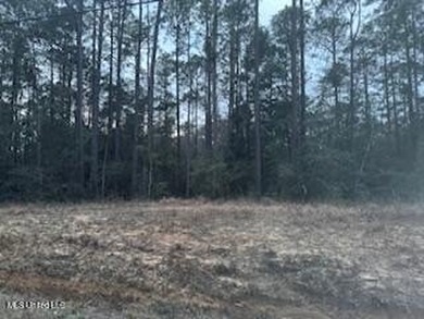 Bayou Waterfront 6.78 Acres in Vancleave . What a Find! There is - photo 7