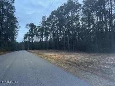 Bayou Waterfront 6.78 Acres in Vancleave . What a Find! There is - photo 8