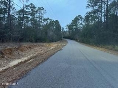 Bayou Waterfront 6.78 Acres in Vancleave . What a Find! There is - photo 9