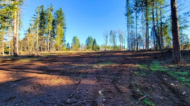 Dexter Lake Lot For Sale in Dexter Oregon