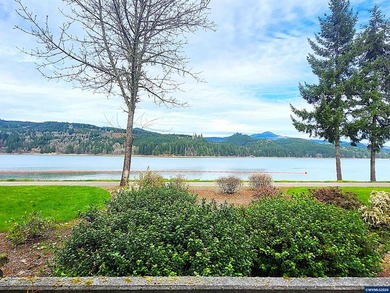 Rare opportunity! Stunning lakefront townhome in a secure gated - photo 2