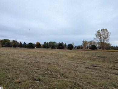 Lake Huron - Arenac County Acreage For Sale in Au Gres Michigan