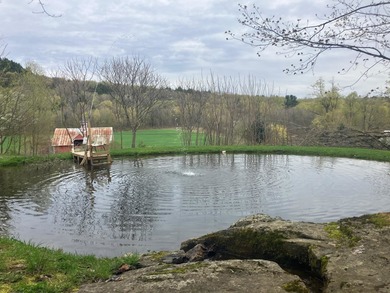 (private lake, pond, creek) Acreage For Sale in Franklin Vermont