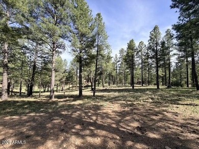 Exceptional golf course homesite located on the prestigious 6th - photo 1