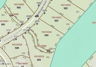 Exceptional golf course homesite located on the prestigious 6th - photo 4