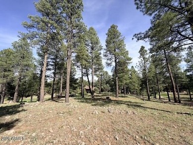 Exceptional golf course homesite located on the prestigious 6th - photo 5