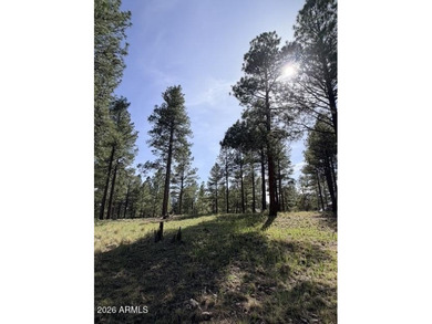 Exceptional golf course homesite located on the prestigious 6th - photo 6