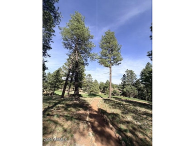 Exceptional golf course homesite located on the prestigious 6th - photo 7