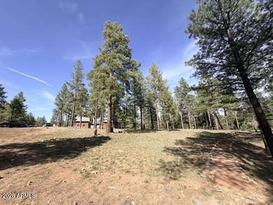 Exceptional golf course homesite located on the prestigious 6th - photo 8