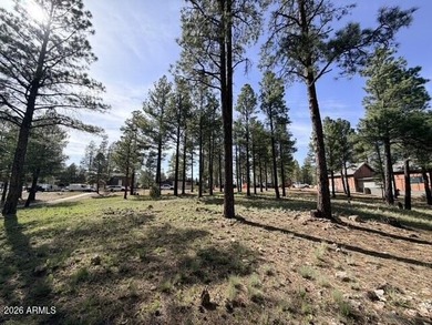 Exceptional golf course homesite located on the prestigious 6th - photo 9