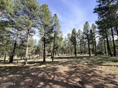 Exceptional golf course homesite located on the prestigious 6th - photo 10