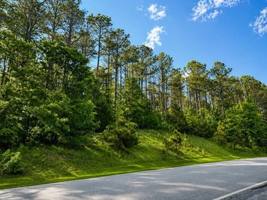 An exceptional opportunity to craft your custom dream residence - photo 3