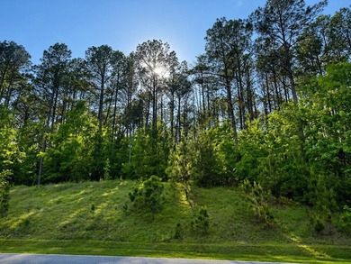 An exceptional opportunity to craft your custom dream residence - photo 4