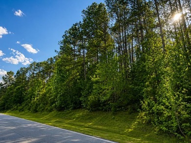 An exceptional opportunity to craft your custom dream residence - photo 5