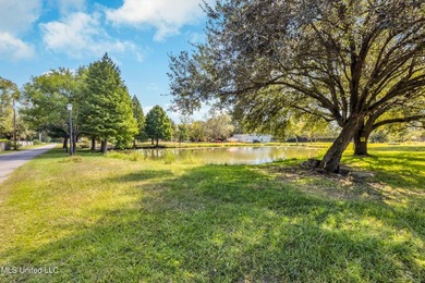 1.721 acres on Canal Road in Gulfport zoned R-1 Residential - photo 6