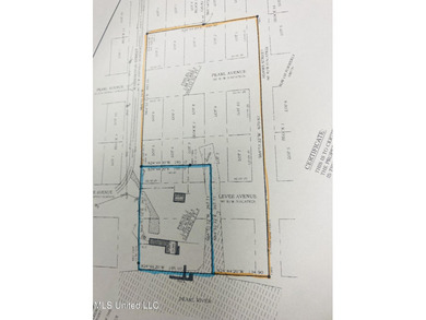 (private lake, pond, coastal) Acreage For Sale in Pearlington Mississippi