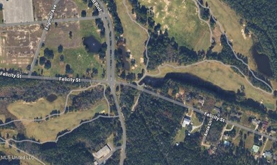 Over a quarter of an acre across from the Bridges Golf Course in - photo 2