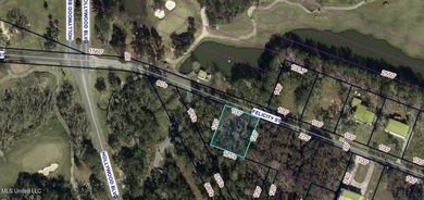 Over a quarter of an acre across from the Bridges Golf Course in - photo 5