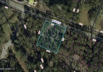 Over a quarter of an acre across from the Bridges Golf Course in - photo 6
