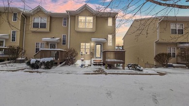 Lake Minnetonka Townhome/Townhouse For Sale in Orono Minnesota