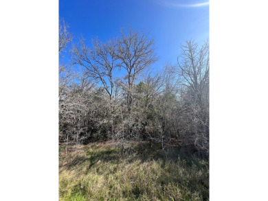 Indian Lake Lot Sale Pending in Smithville Texas
