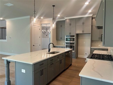 Penny Plan Lot 182: 5BR/ 4.5BA on Basement with 4 CAR GARAGE ON - photo 7