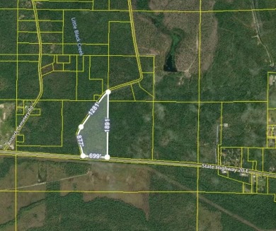 (private lake, pond, creek) Acreage For Sale in Ponce De Leon Florida