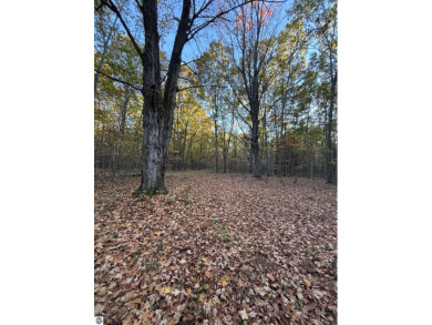 Lake Acreage For Sale in Mount Pleasant, Michigan