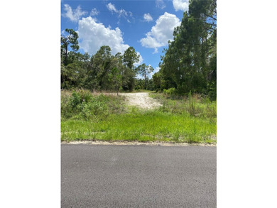 Reduced Price From $35,000 to $30,000!!Oversized lot located in - photo 2