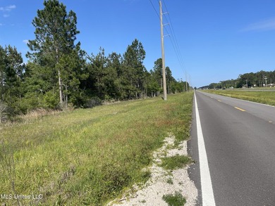 Lots are accessible on Hwy. Frontage Rd. Convenient to casinos - photo 1