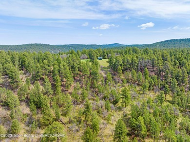 The 2,238 deeded acre ranch is located about 8 miles NW of - photo 23