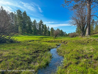 The 2,238 deeded acre ranch is located about 8 miles NW of - photo 28