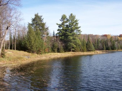 Beatons Lake Lot For Sale in Paulding Michigan