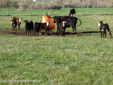 The 2,238 deeded acre ranch is located about 8 miles NW of - photo 46
